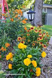 Perennials For 3 Seasons Of Blooms