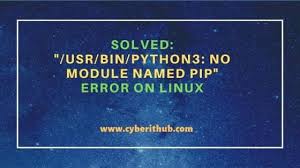 no module named pip error on linux
