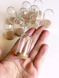 Cloche Dome Mini Glass Jars