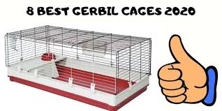 8 best gerbil cages complete gerbil