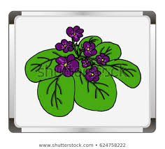 Color Flower On Flip Chart Background Royalty Free Stock Image