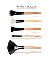 allure clic makeup brush set of 05 face brushes ackf2 05