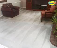 carpet cleaning allergy treatment