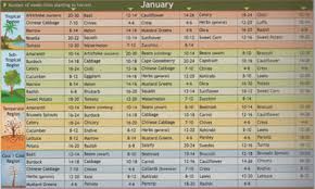 41 Valid Companion Vegetable Planting Guide Chart