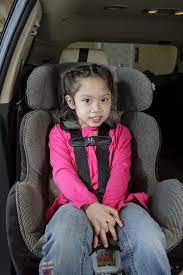 Safety Harness For Car Seat Part Clip