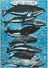 Whales A4 Framed Poster Print