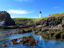 lighthouses and tidepools newport or