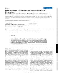 High Throughput Analysis Of Spatio Temporal Dynamics In