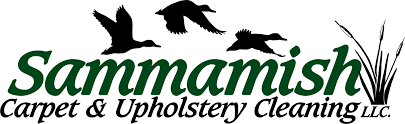 sammamish carpet cleaning upholstery