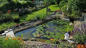 How To Create A Small Garden Pond