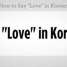 how to say love in korean howcast