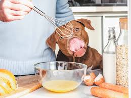 how to cook eggs for dogs recipes net