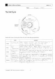 Cell Cycle Labeling Answers Cell Cycle Labeling Worksheet