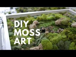 Diy Moss Art Done Simply