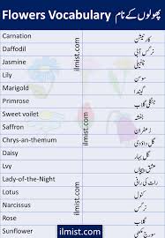 flowers voary words list in