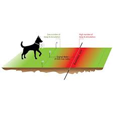 Underground dog fences use a buried wire to define your dog's boundary. Electric Dog Fence Basics Underground Dog Fence Containment System For Easy Setup And Most Complete Diy Pet Safety Solution 2 Dog 500 Feet Reliable Boundary Wire Pricepulse