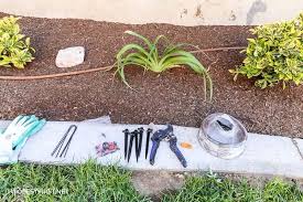diy automatic watering system for