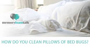 how do you clean pillows of bed bugs