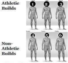 Body Type Chart For Men Type Chart Mens Body Types Body