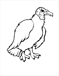 Vulture coloring page from vultures category. Vulture Coloring Page For Kids Coloringbay