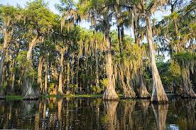 53.2 million domestic and international visitors came to louisiana in 2019. 15 Besten Seen In Louisiana 15 Besten Seen In Louisiana