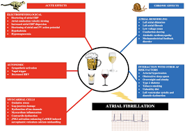 alcohol and atrial fibrillation