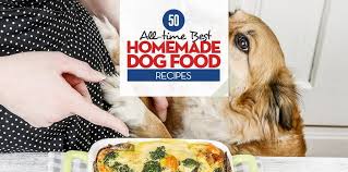 50 best homemade dog food recipes