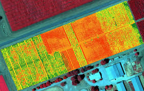 شیوه‌های محاسبه پوشش گیاهی در تصاویر ماهواره‌ای