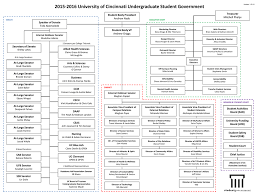 Student Government Org Chart