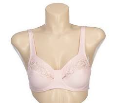Barely Breezies Embroidered Lace Elegance Support Bra With