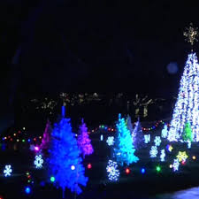 10best botanical garden holiday lights