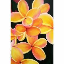 Details About Orange Prumeria Flowers Paper Poster Wall Chart Home Bedroom Decoration