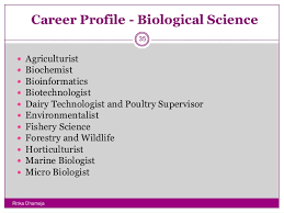 Career Opportunities After 12th