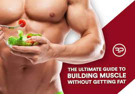 building muscle without getting fat