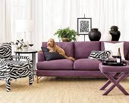 best sofas for dogs