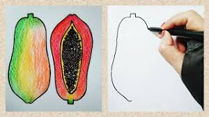 cara menggambar buah pepaya how to
