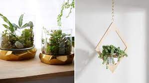 15 Stylish Indoor Planters For Every