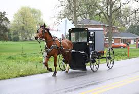 Image result for amish