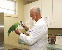 Image result for avian veterinarian
