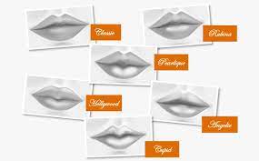 lip guide diffe lip shapes and