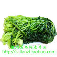 温州味道烫菜咸雪里蕻雪菜九头芥绿雪菜真空包装500g-Taobao