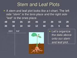 Math Data Measurement Stem Leaf Plot Graph Powerpoint Common Core Ccss Mafs