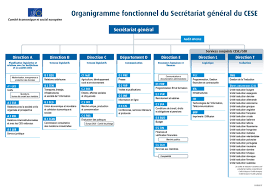 Organisational Chart Administrative European Economic