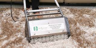 de hygienique carpet cleaning system