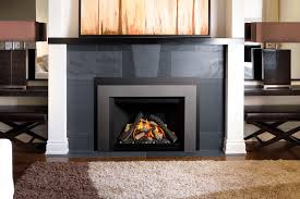 G3 5 Gas Fireplace Insert Dreifuss