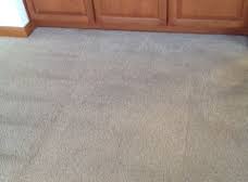 continental carpet care woodinville