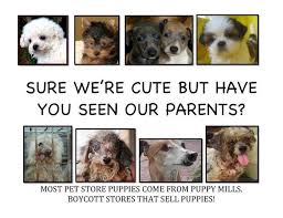 Are puppy mills a form of animal abuse 