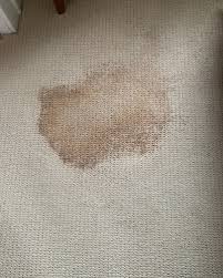 wall to wall carpet cleaning socks