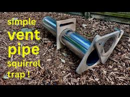 vent pipe squirrel trap