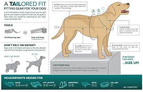 Kurgo Dog Harness Pet Walking Harness Medium Black